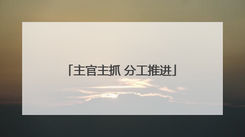 主官主抓 分工推进