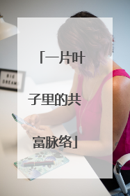 一片叶子里的共富脉络
