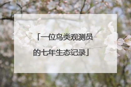 一位鸟类观测员的七年生态记录