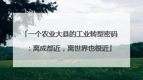 一个农业大县的工业转型密码：离成都近，离世界也很近