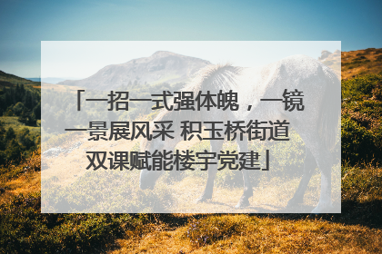 一招一式强体魄，一镜一景展风采 积玉桥街道双课赋能楼宇党建