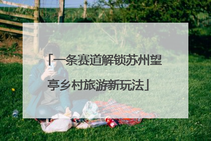 一条赛道解锁苏州望亭乡村旅游新玩法