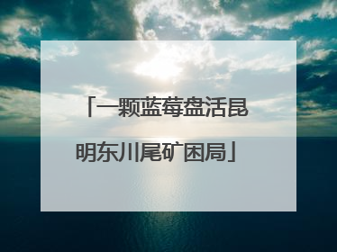 一颗蓝莓盘活昆明东川尾矿困局