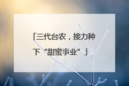 三代台农，接力种下“甜蜜事业”
