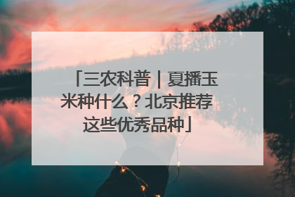 三农科普｜夏播玉米种什么？北京推荐这些优秀品种