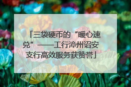 三袋硬币的“暖心速兑”——工行漳州诏安支行高效服务获赞誉