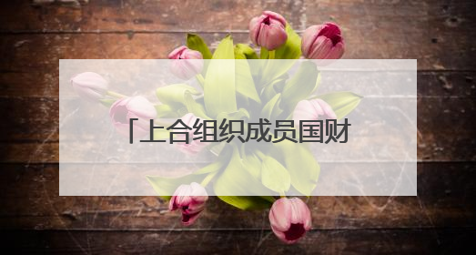 上合组织成员国财长和央行行长会议支持深化财金合作