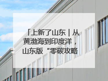 上新了山东｜从黄渤海到印度洋，山东版“零碳攻略”有多能打？