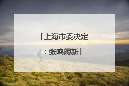 上海市委决定：张鸣履新