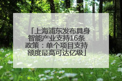 上海浦东发布具身智能产业支持16条政策：单个项目支持额度最高可达亿级