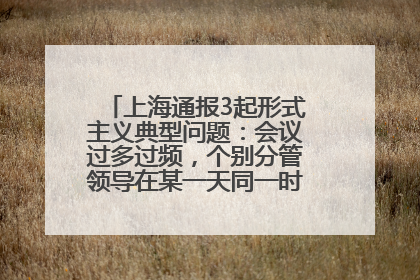 上海通报3起形式主义典型问题：会议过多过频，个别分管领导在某一天同一时段需参加3个会议