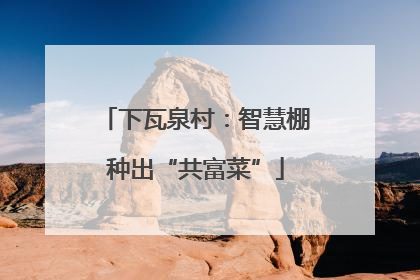 下瓦泉村：智慧棚种出“共富菜”