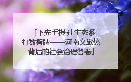 下先手棋·建生态系·打数智牌——河南文旅热背后的社会治理答卷