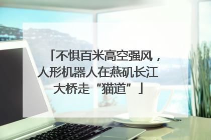 不惧百米高空强风，人形机器人在燕矶长江大桥走“猫道”