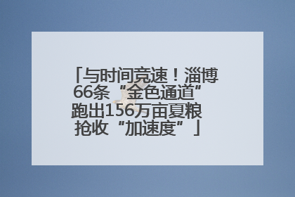 与时间竞速！淄博66条“金色通道”跑出156万亩夏粮抢收“加速度”