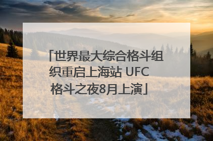 世界最大综合格斗组织重启上海站 UFC格斗之夜8月上演