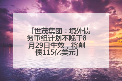 世茂集团：境外债务重组计划不晚于8月29日生效，将削债115亿美元