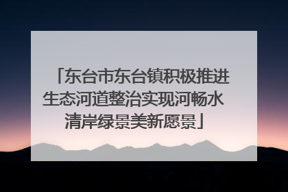 东台市东台镇积极推进生态河道整治实现河畅水清岸绿景美新愿景
