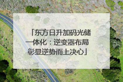 东方日升加码光储一体化：逆变器布局彰显逆势而上决心