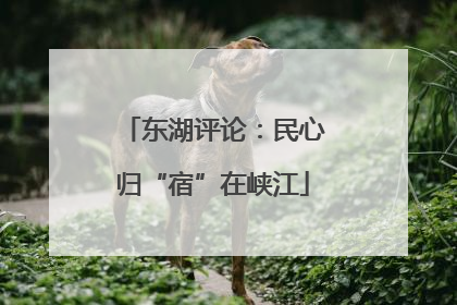 东湖评论：民心归“宿”在峡江
