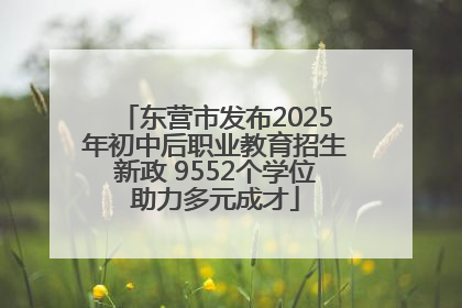 东营市发布2025年初中后职业教育招生新政 9552个学位助力多元成才