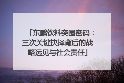 东鹏饮料突围密码：三次关键抉择背后的战略远见与社会责任