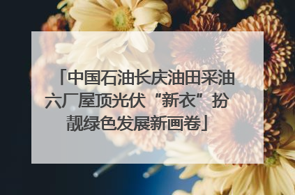 中国石油长庆油田采油六厂屋顶光伏“新衣”扮靓绿色发展新画卷