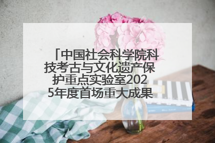 中国社会科学院科技考古与文化遗产保护重点实验室2025年度首场重大成果发布会在京举行