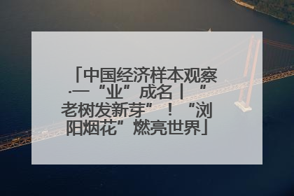 中国经济样本观察·一“业”成名丨“老树发新芽”！“浏阳烟花”燃亮世界