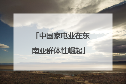 中国家电业在东南亚群体性崛起