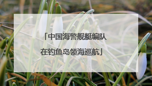 中国海警舰艇编队在钓鱼岛领海巡航
