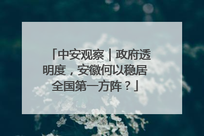 中安观察｜政府透明度，安徽何以稳居全国第一方阵？