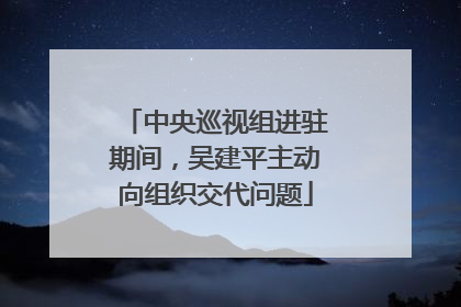 中央巡视组进驻期间，吴建平主动向组织交代问题