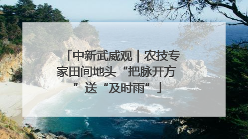 中新武威观｜农技专家田间地头“把脉开方”送“及时雨”
