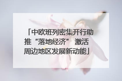中欧班列密集开行助推“落地经济” 激活周边地区发展新动能