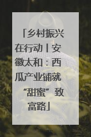 乡村振兴在行动丨安徽太和：西瓜产业铺就“甜蜜”致富路