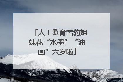 人工繁育雪豹姐妹花“水墨”“油画”六岁啦