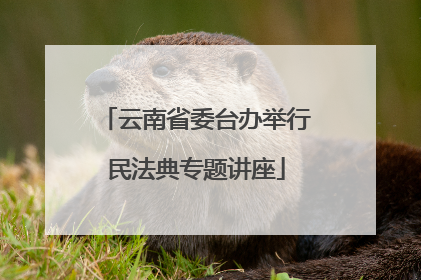 云南省委台办举行民法典专题讲座