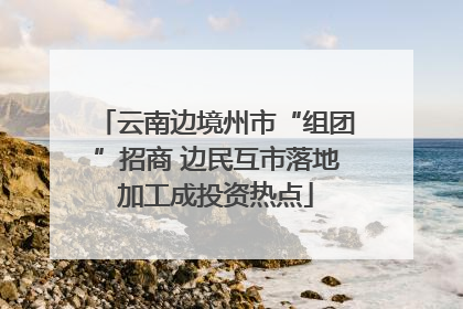 云南边境州市“组团”招商 边民互市落地加工成投资热点