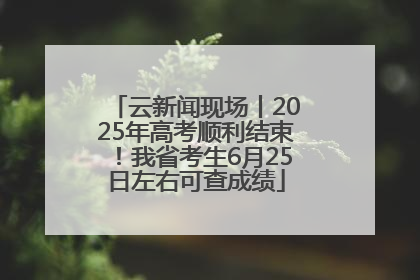 云新闻现场丨2025年高考顺利结束！我省考生6月25日左右可查成绩