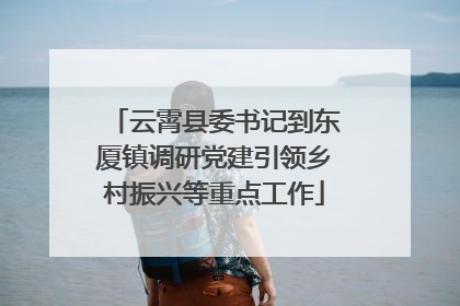 云霄县委书记到东厦镇调研党建引领乡村振兴等重点工作