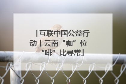 互联中国公益行动丨云南“咖”位“啡”比寻常