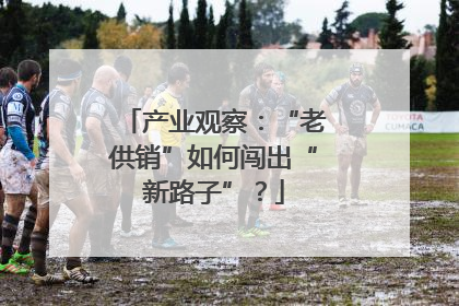 产业观察：“老供销”如何闯出“新路子”？