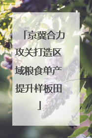 京冀合力攻关打造区域粮食单产提升样板田
