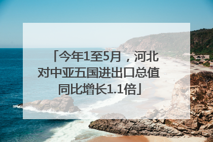 今年1至5月，河北对中亚五国进出口总值同比增长1.1倍