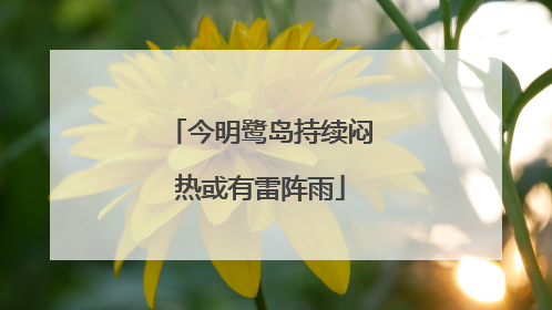 今明鹭岛持续闷热或有雷阵雨