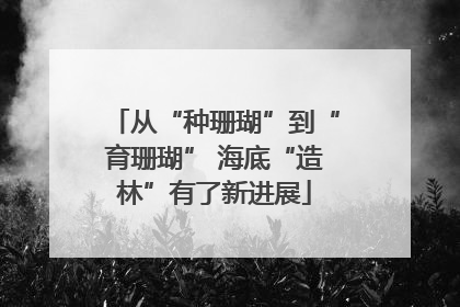 从“种珊瑚”到“育珊瑚” 海底“造林”有了新进展