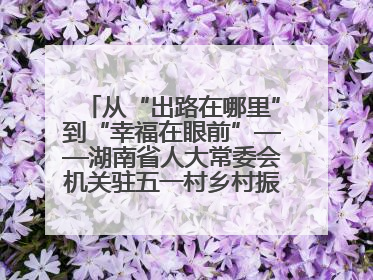 从“出路在哪里”到“幸福在眼前”——湖南省人大常委会机关驻五一村乡村振兴帮扶工作队书写振兴答卷