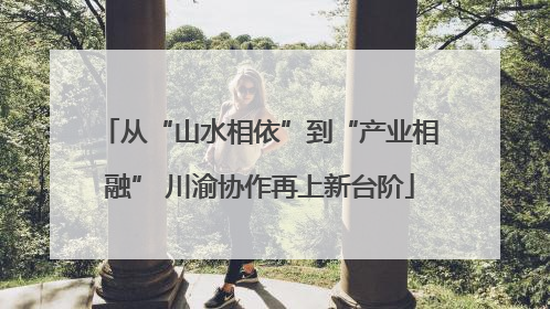 从“山水相依”到“产业相融” 川渝协作再上新台阶