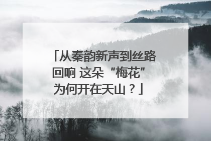 从秦韵新声到丝路回响 这朵“梅花”为何开在天山？
